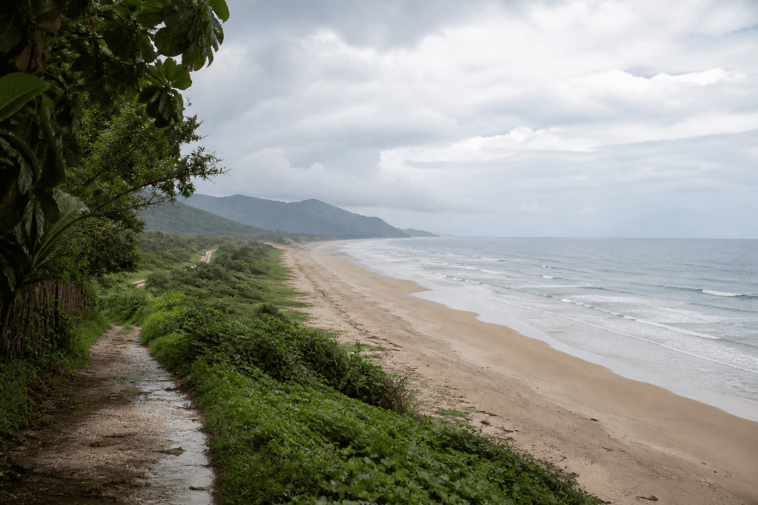 A long pale coast recedes toward a hazy headland beside a wet shaded path after rain.